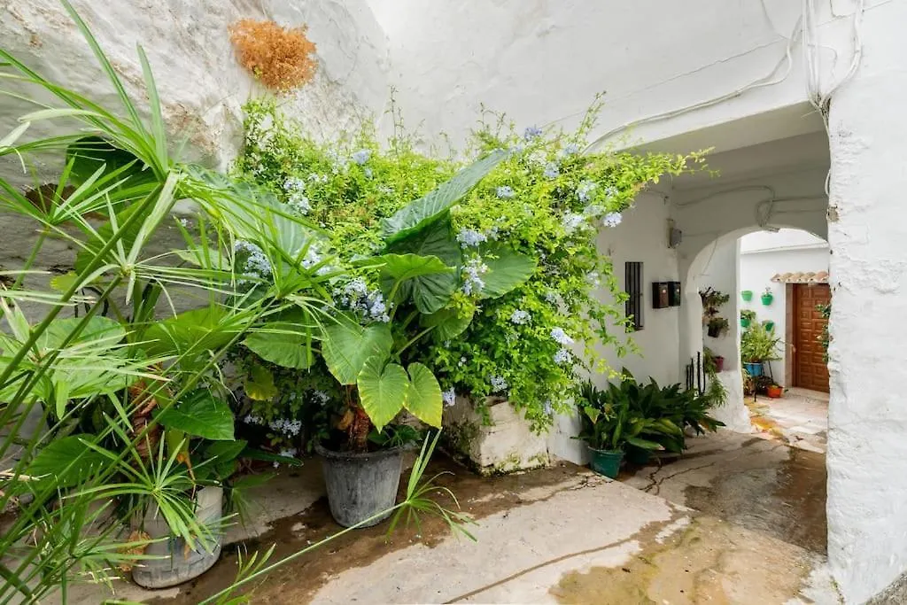 Preciosa Casa Independiente Con Increibles Vistas Vejer de la Frontera